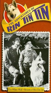 Rin Tin Tin